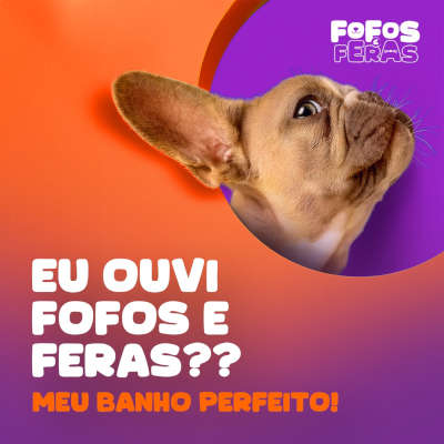 Fofos e Feras Instagram